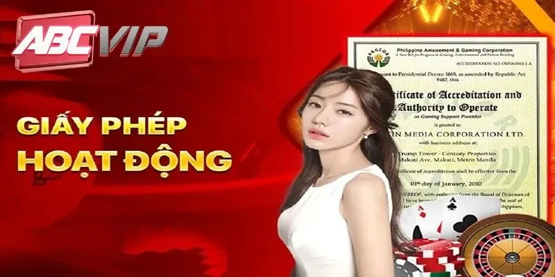 Các loại giấy phép abcvip sở hữu